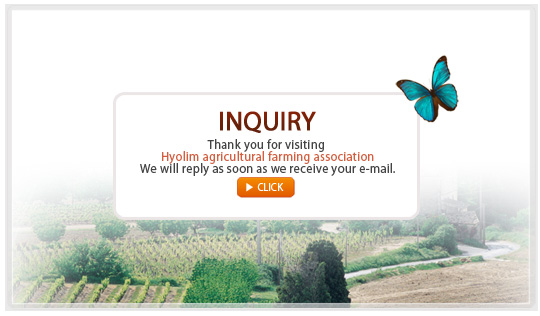 
INQUIRY
Thank you for visiting
Hyolim agricultural farming association
We will reply as soon as we recelve your e-mail.